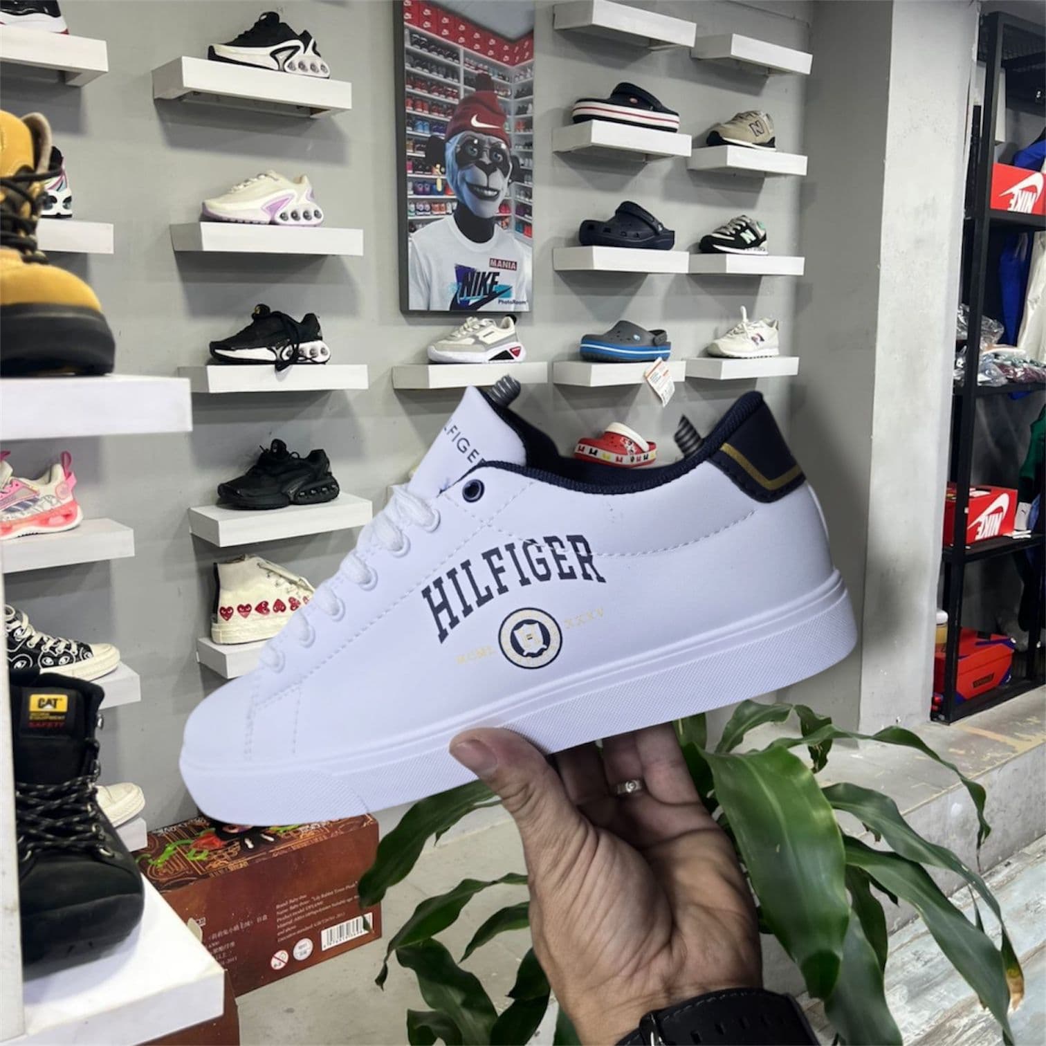 Tommy Hilfiger Kikluxe Colombia — proceso compra mayorista: WhatsApp + catálogo + despacho 24-48h
